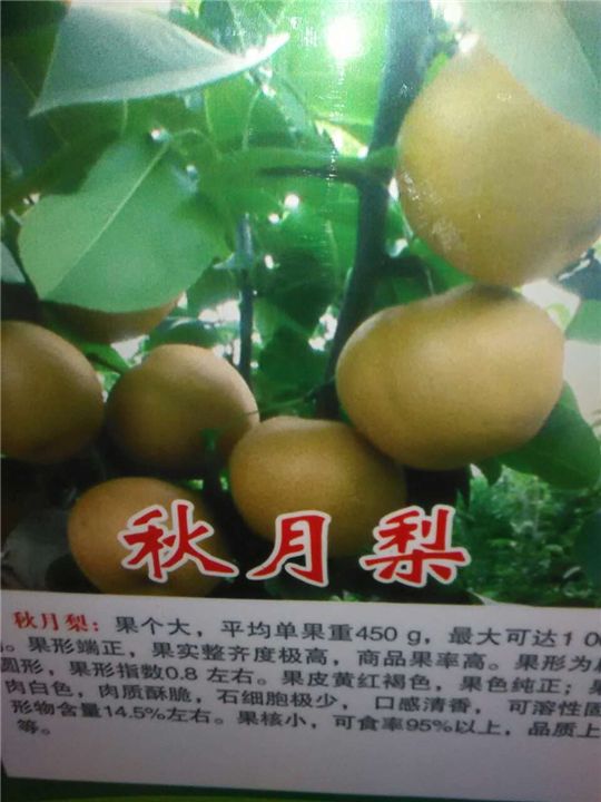 山東臨沂圖片/山東臨沂樣板圖 (4)