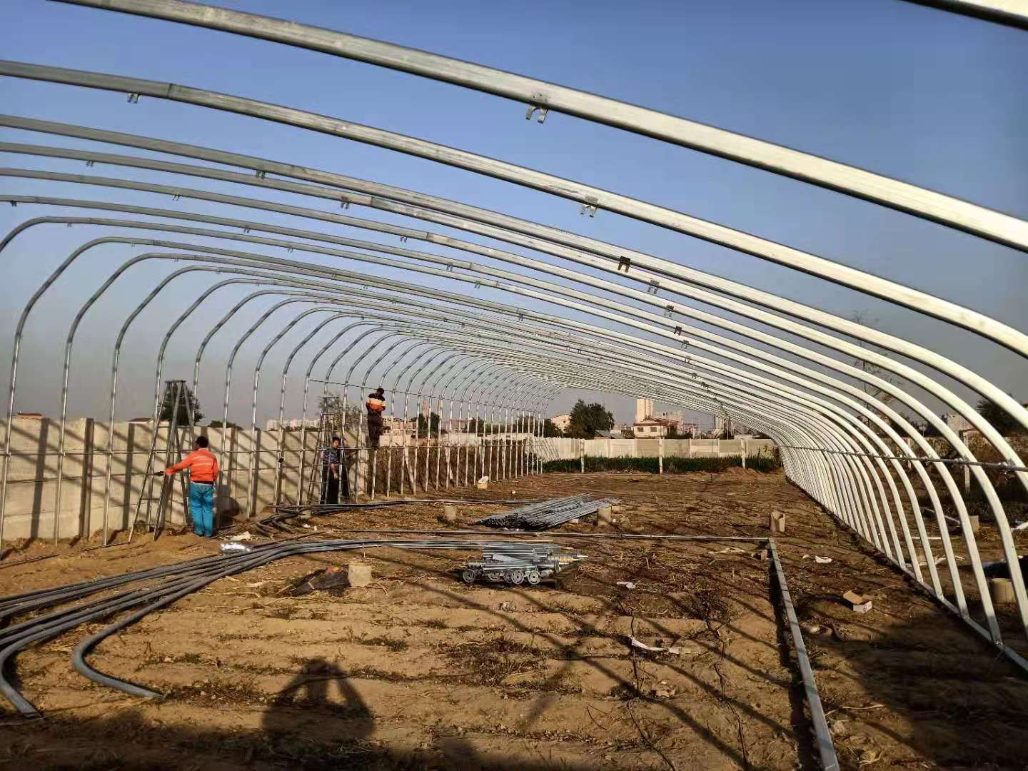 日光溫室圖片/日光溫室樣板圖 (4)