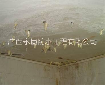 廣西永固防水工程有限公司圖片/廣西永固防水工程有限公司樣板圖 (2)