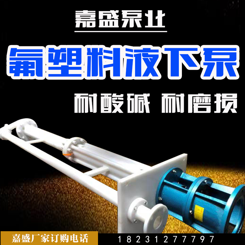 FYH氟塑料防下泵圖片/FYH氟塑料防下泵樣板圖 (2)