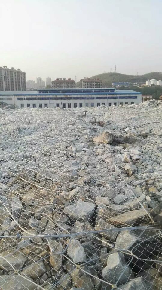 SPIDER絞索網(wǎng)圖片/SPIDER絞索網(wǎng)樣板圖 (3)