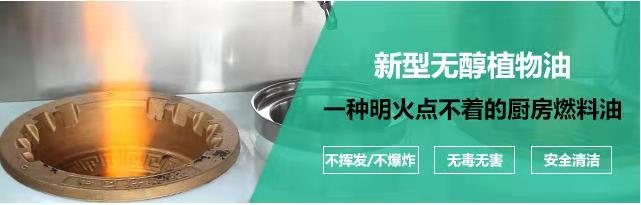 河南炬燃植物油做无醇燃料技术转让图片