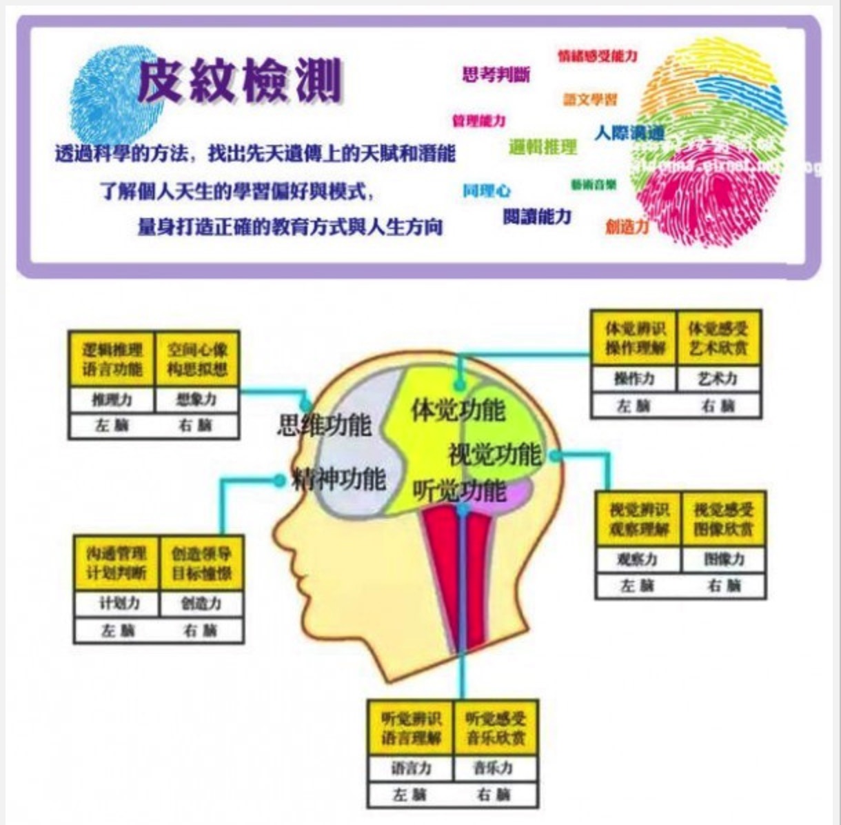 怎么知道孩子天赋？如何知道孩子的特长?如何知道孩子的性格？怎么知道孩子天赋？义乌天赋测试 义乌皮纹天赋测试帮您图片