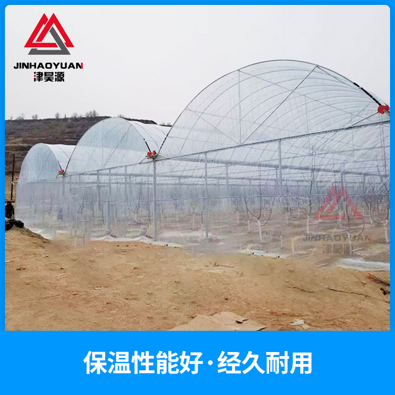 連棟大棚圖片/連棟大棚樣板圖 (4)