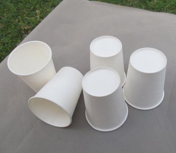 紙杯圖片/紙杯樣板圖 (2)