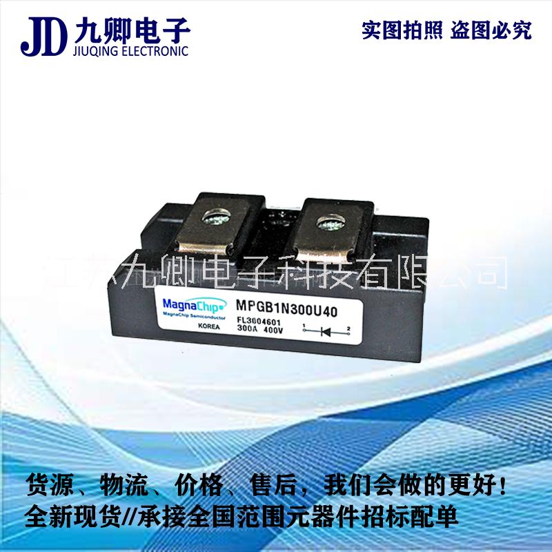 美格納MPGB1N300U40圖片