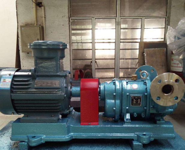 北京專業(yè)威樂水泵維修圖片/北京專業(yè)威樂水泵維修樣板圖 (3)