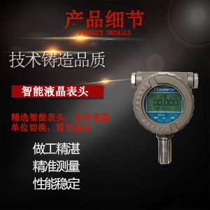 渦輪流量計(jì)圖片/渦輪流量計(jì)樣板圖 (4)