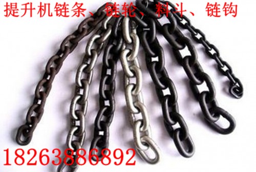 魯興HL500提升機(jī)鏈條鏈輪技術(shù)圖片/魯興HL500提升機(jī)鏈條鏈輪技術(shù)樣板圖 (2)