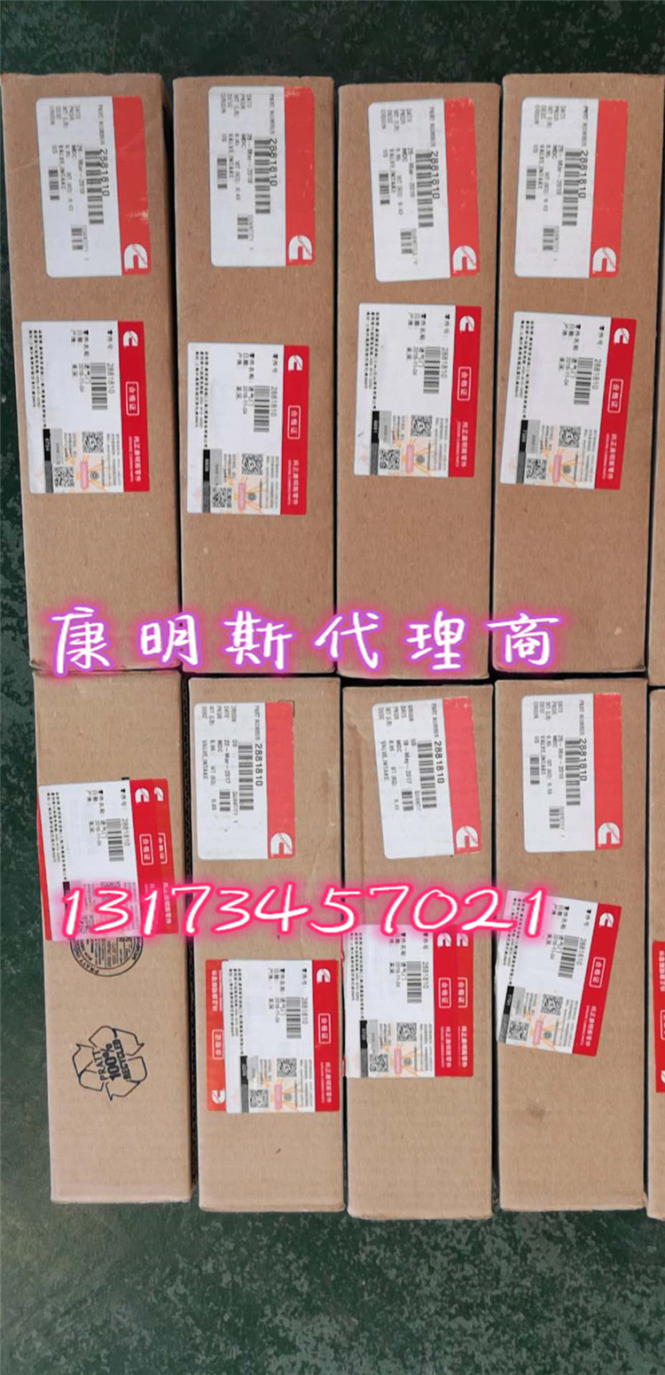 澳洲博士工厂【4955526】喷油器QSK19油嘴起火不是事 QSK19喷油器