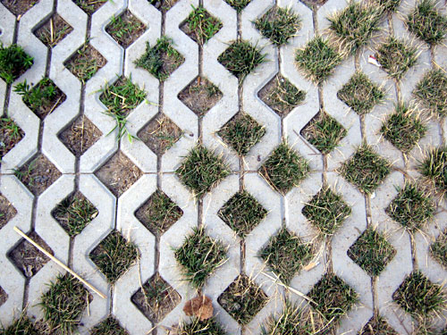 草坪磚圖片/草坪磚樣板圖 (4)