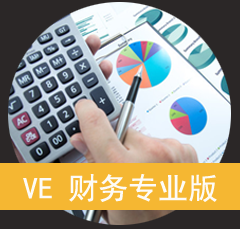 南通高格VE财务专业版适合中小制造企业的财务软件