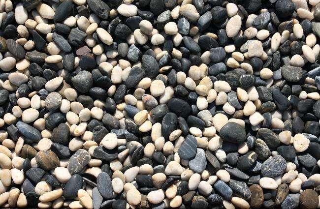 盆景鵝卵石圖片/盆景鵝卵石樣板圖 (1)