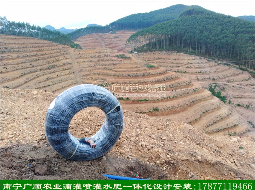 廣西滴灌設計 南寧本地專業(yè)公司包圖片