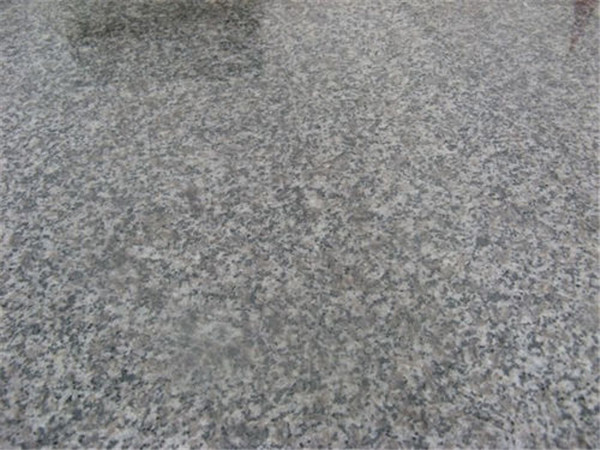 五蓮灰報(bào)價(jià)圖片