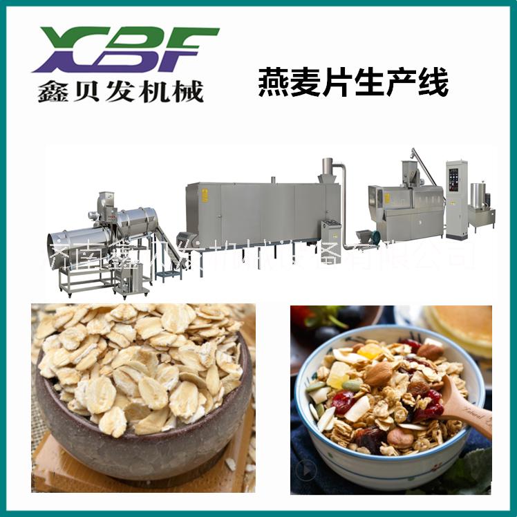 堅(jiān)果燕麥片生產(chǎn)設(shè)備 燕麥片生產(chǎn)線 藜麥片生產(chǎn)設(shè)備 谷物麥片設(shè)備