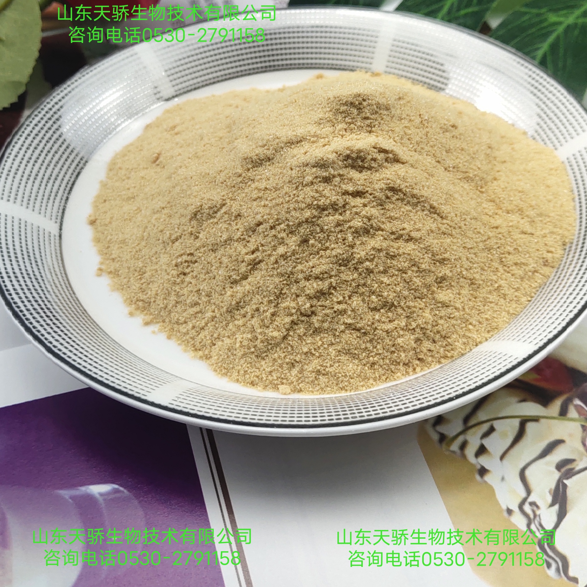 供應麥精粉 麥芽粉麥精粉