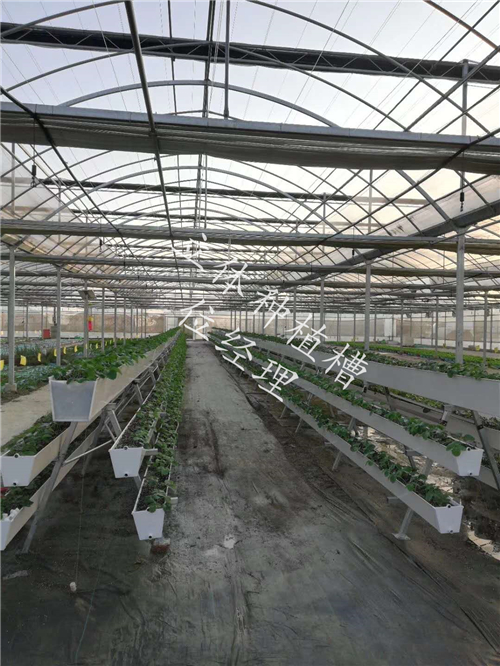 種植槽圖片/種植槽樣板圖 (3)