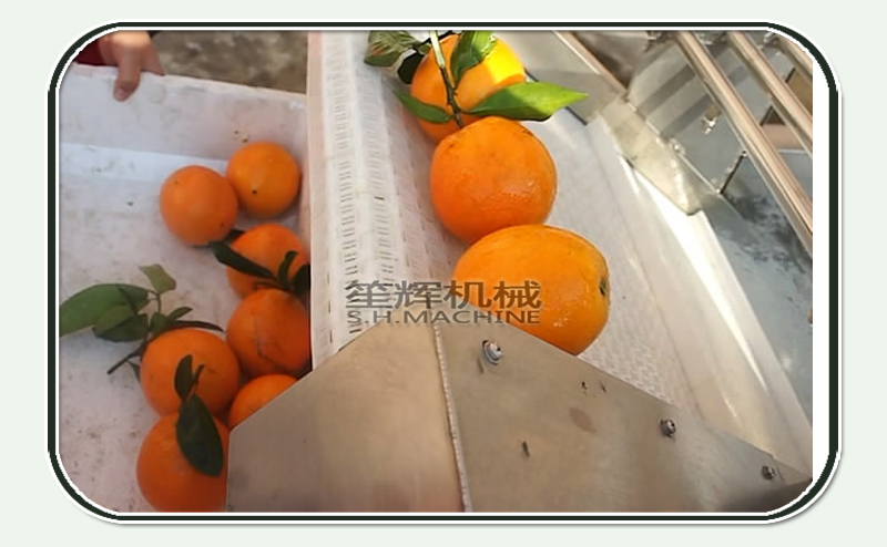 QX-32臭氧超声波洗菜机笙辉土豆丝果蔬清洗设备白菜生菜气泡洗菜机 QX-32臭氧超声波洗菜机