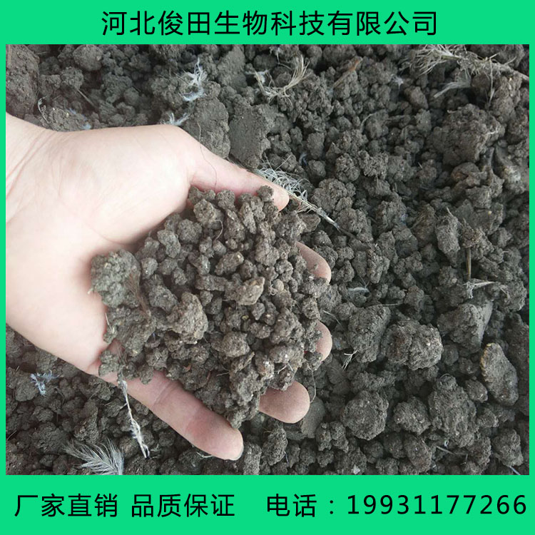 烘干雞糞顆粒有機(jī)肥多少錢(qián)一噸_干雞糞價(jià)格_新疆干雞糞批發(fā)價(jià)格