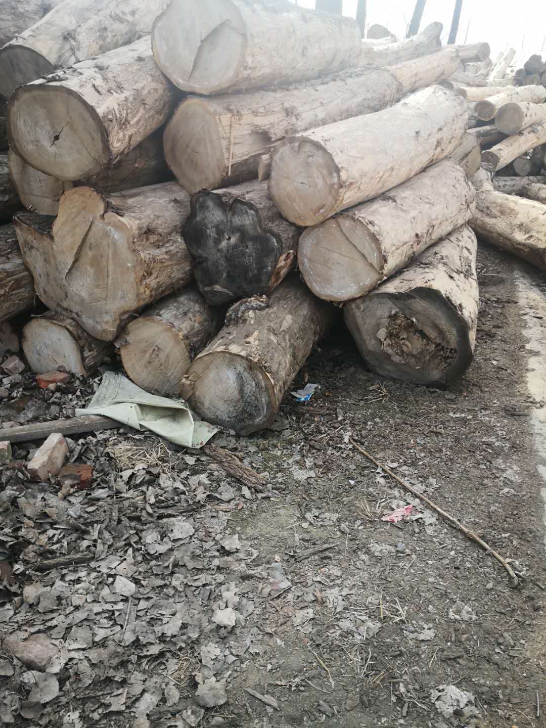 百年烘干榆木 河南厂家批量烘板材 定制榆木仿古家具 板材材料配件图片