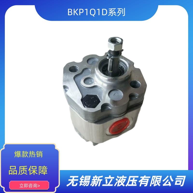 BKP1Q1D0.8T0Z0-V圖片/BKP1Q1D0.8T0Z0-V樣板圖 (2)