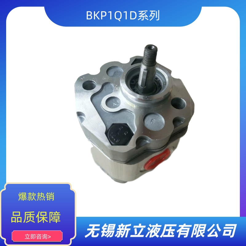 BKP1Q1D0.8T0Z0-V圖片/BKP1Q1D0.8T0Z0-V樣板圖 (3)