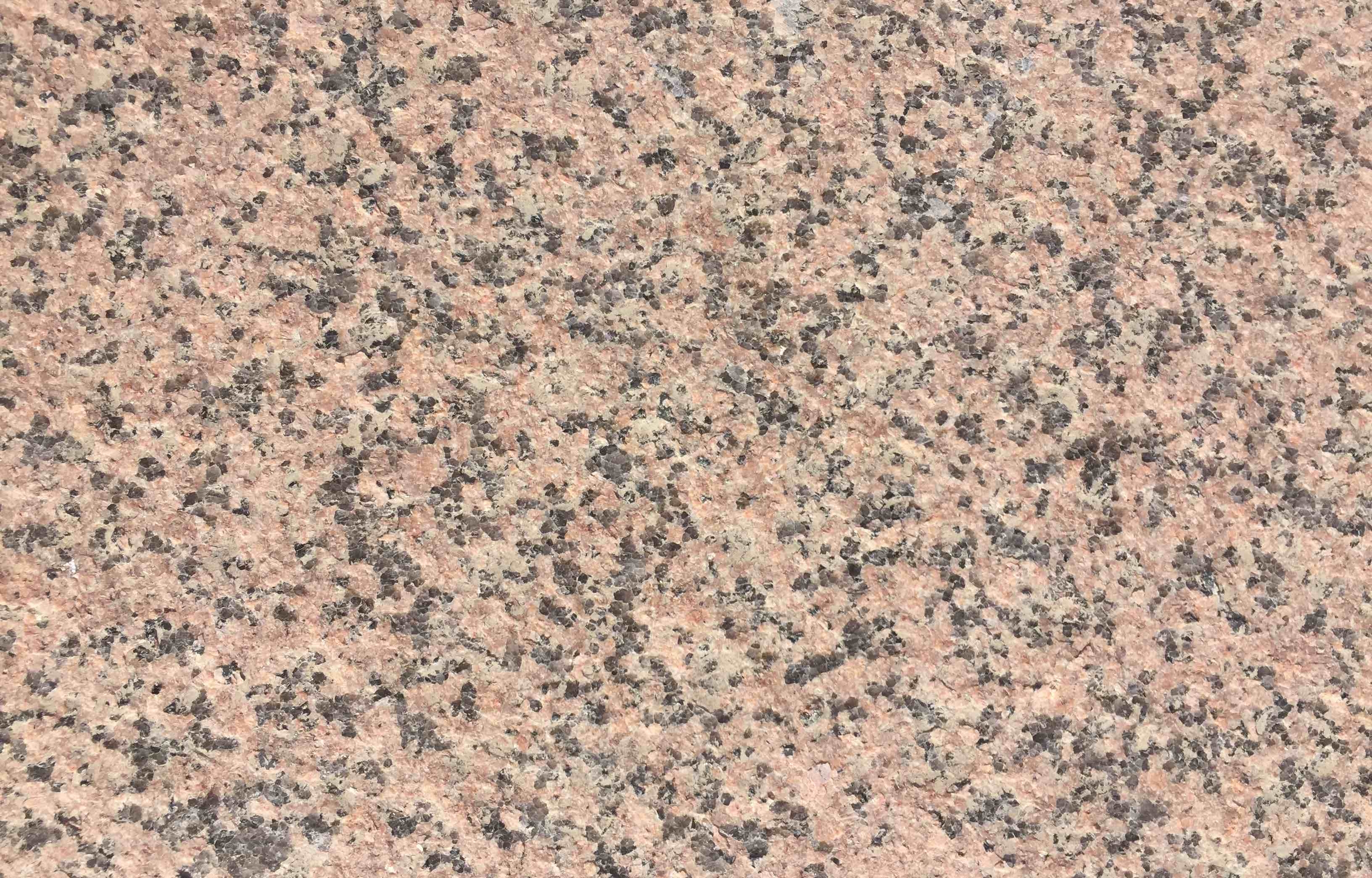 新疆紅火燒面報(bào)價(jià)