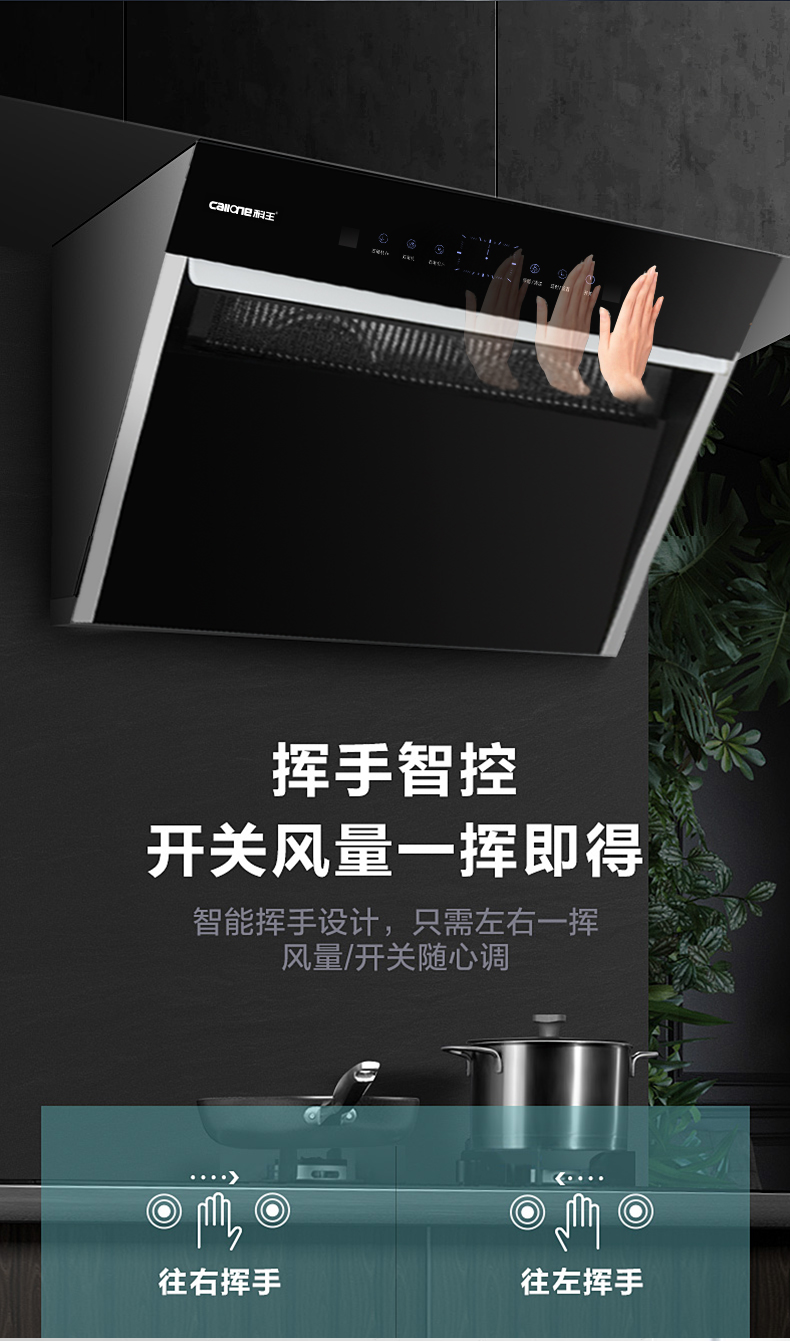 吸油煙機(jī)圖片/吸油煙機(jī)樣板圖 (4)