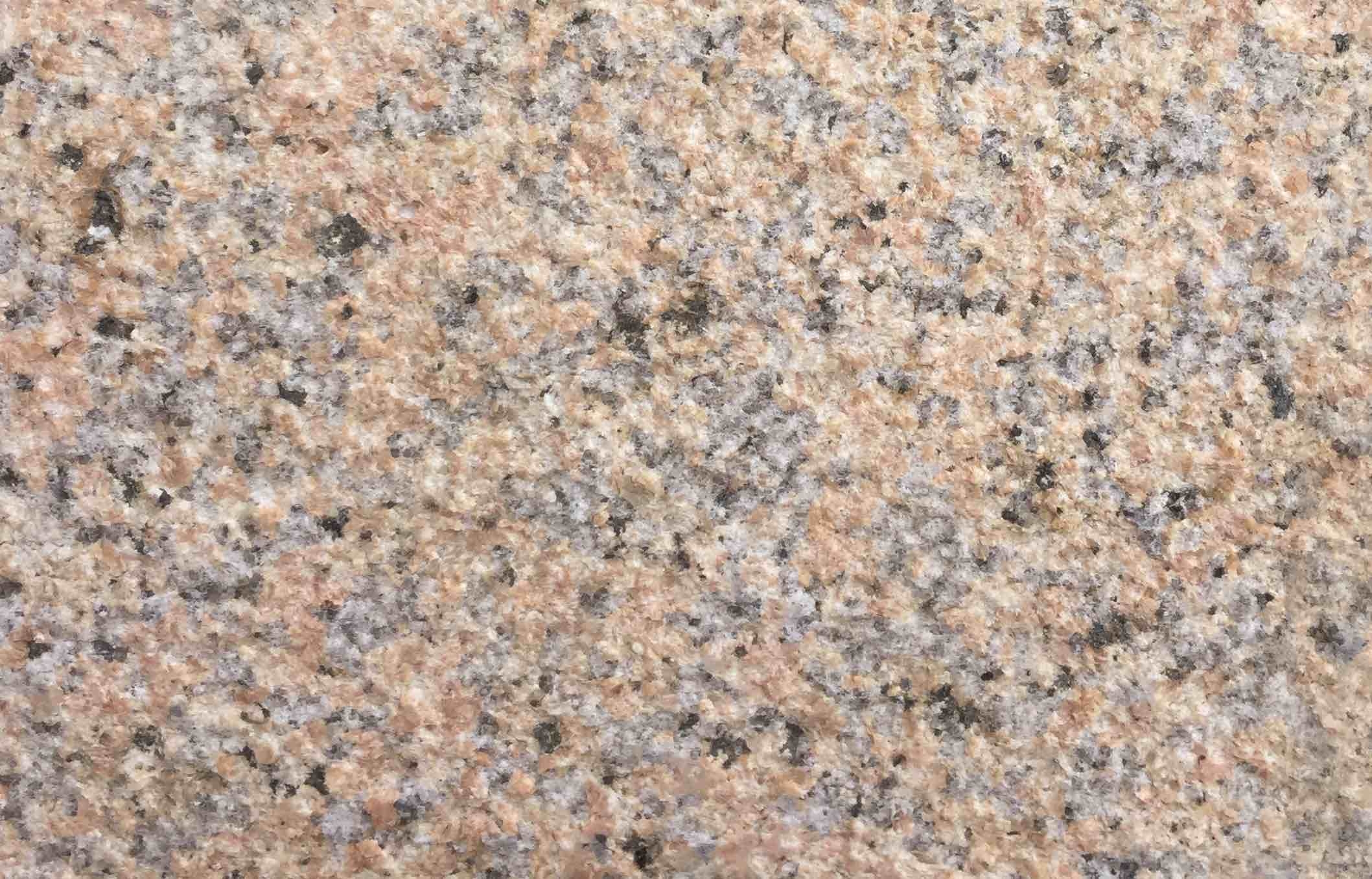 鄯善黃荔枝面報(bào)價(jià)