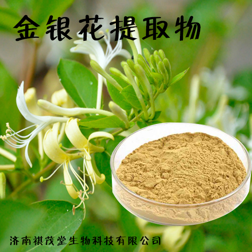 金銀花提取物圖片