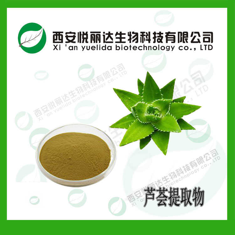 蘆薈提取物圖片/蘆薈提取物樣板圖 (1)