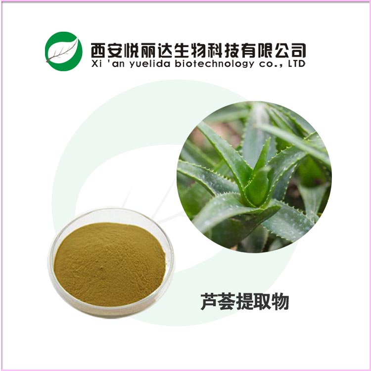 蘆薈提取物圖片/蘆薈提取物樣板圖 (2)