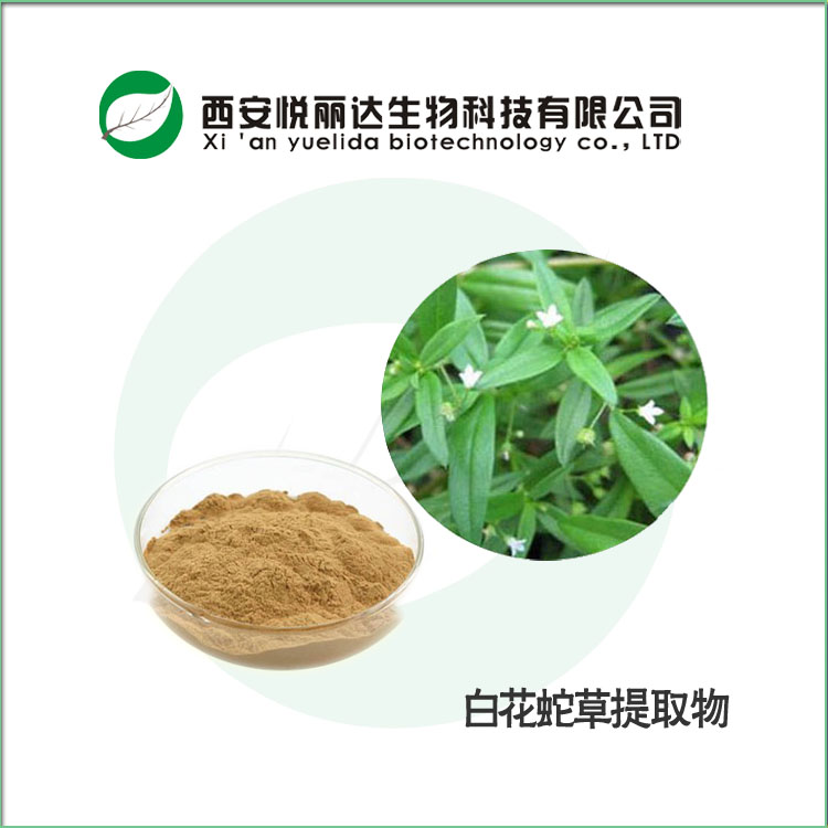 白花蛇舌草提取物圖片/白花蛇舌草提取物樣板圖 (2)