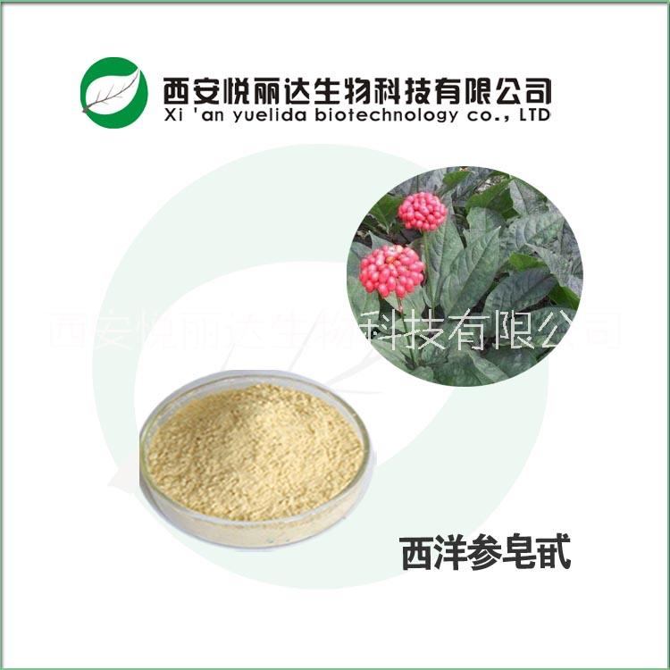 西洋參提取圖片/西洋參提取樣板圖 (4)
