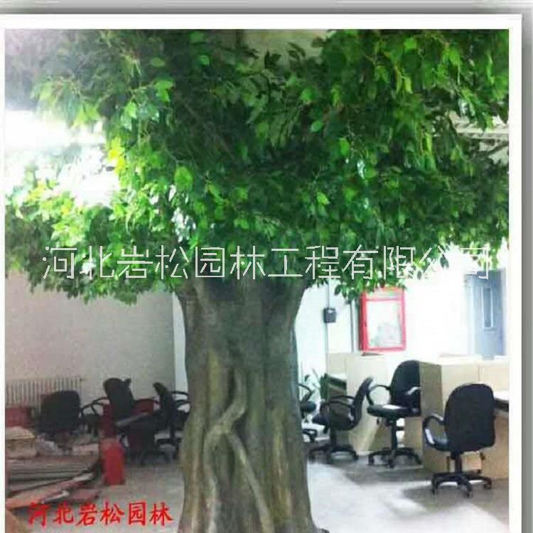 塑樹制作 混凝土塑樹圖片/塑樹制作 混凝土塑樹樣板圖 (2)