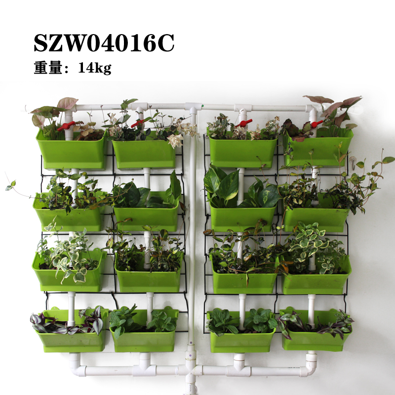 蔬菜種植圖片/蔬菜種植樣板圖 (3)