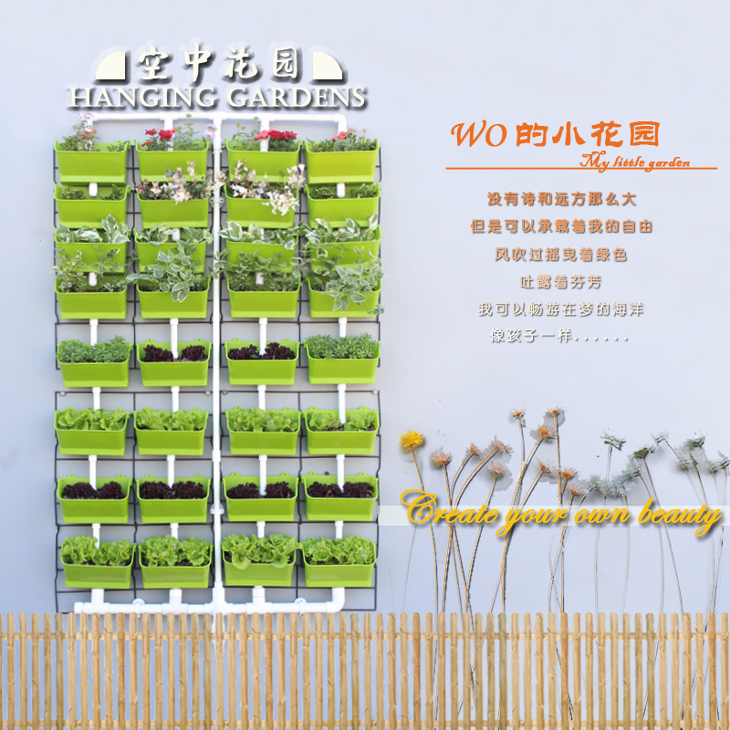 蔬菜種植圖片/蔬菜種植樣板圖 (1)