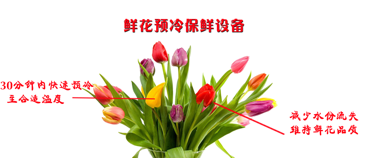 鮮花真空預(yù)冷保鮮設(shè)備圖片/鮮花真空預(yù)冷保鮮設(shè)備樣板圖 (3)