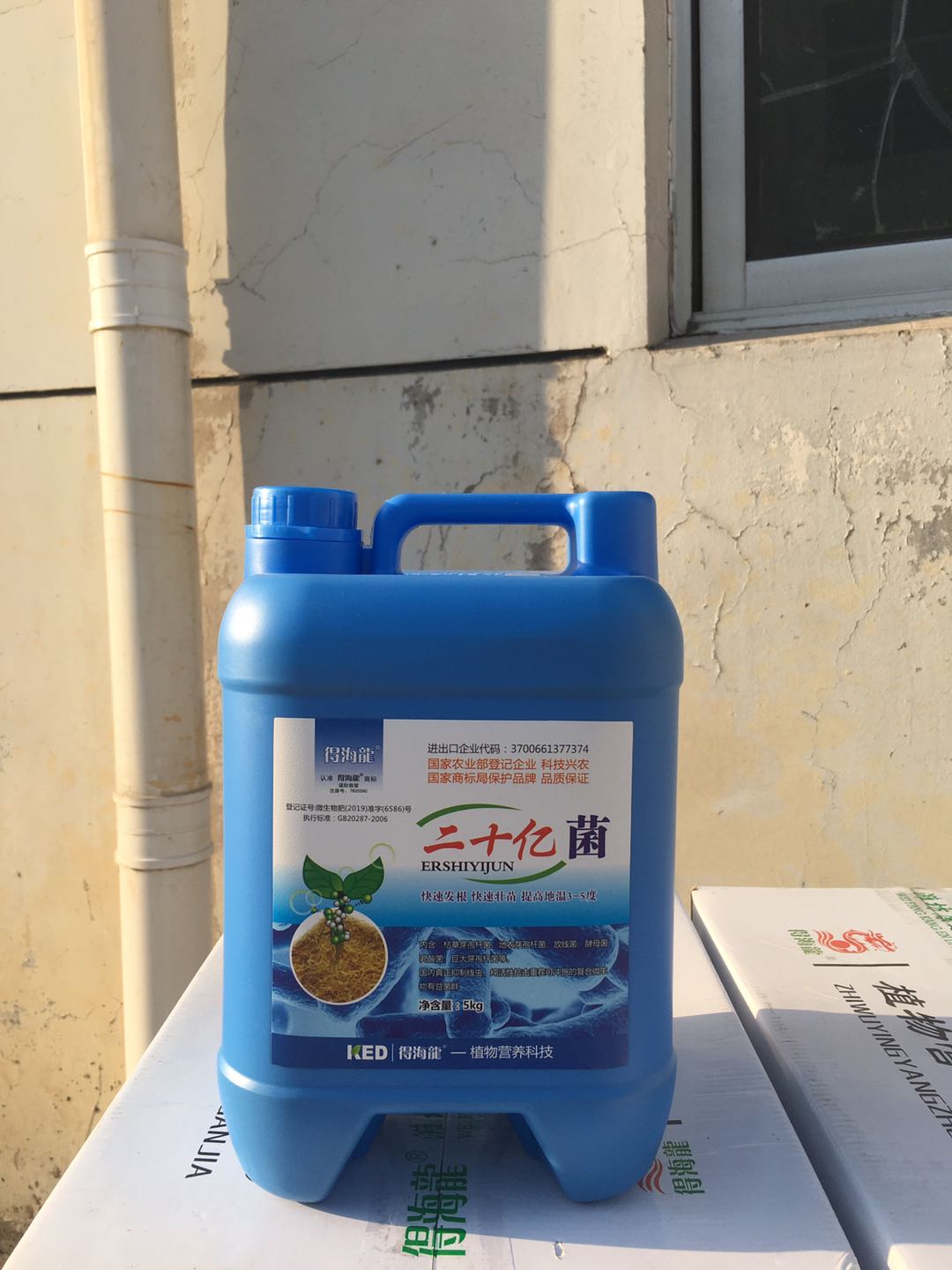 二十億菌圖片/二十億菌樣板圖 (2)