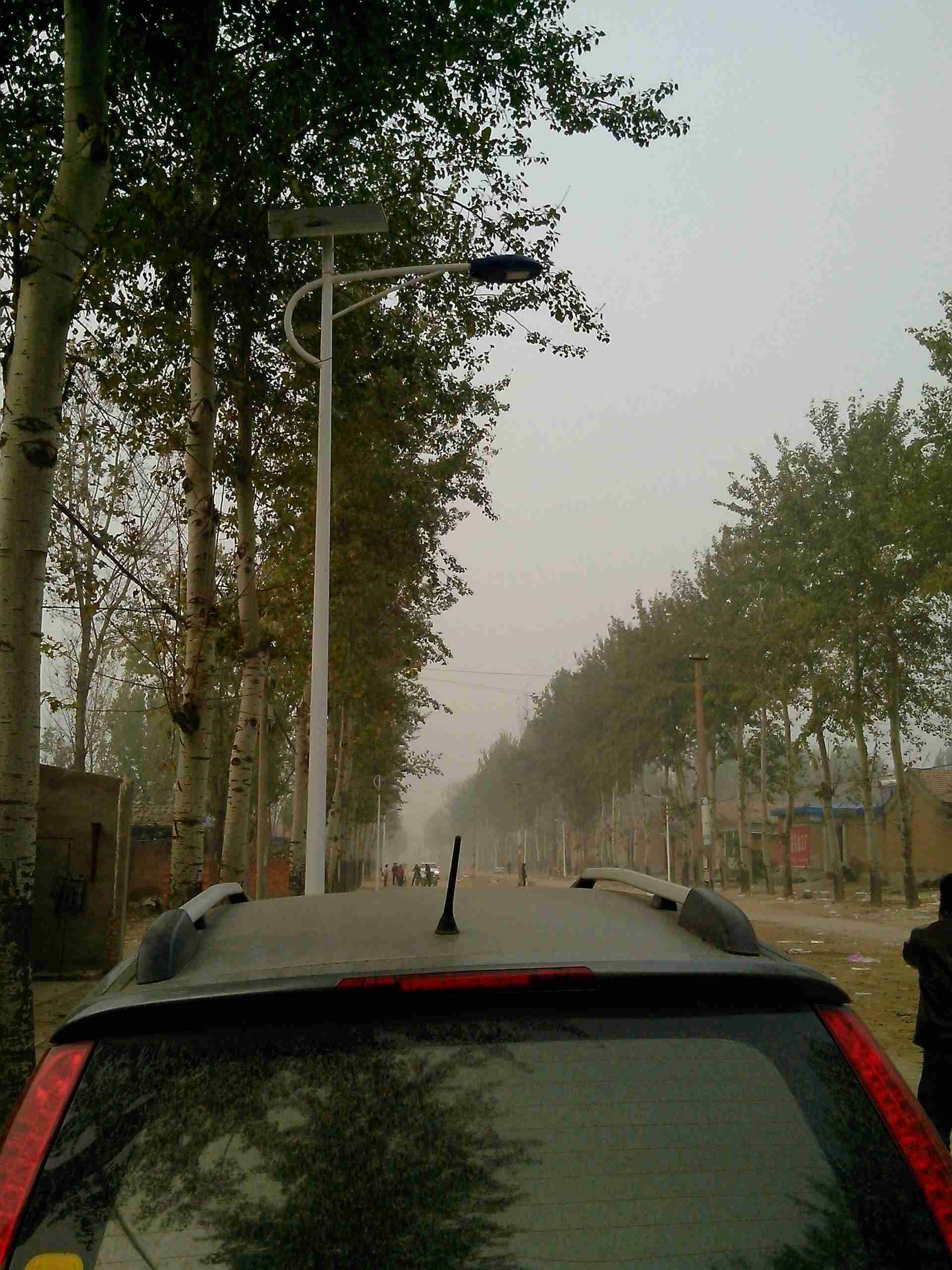 石家莊太陽能路燈圖片/石家莊太陽能路燈樣板圖 (4)