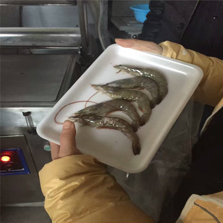 貼體包裝機(jī)廠家,海參真空貼體機(jī)圖片/貼體包裝機(jī)廠家,海參真空貼體機(jī)樣板圖 (3)