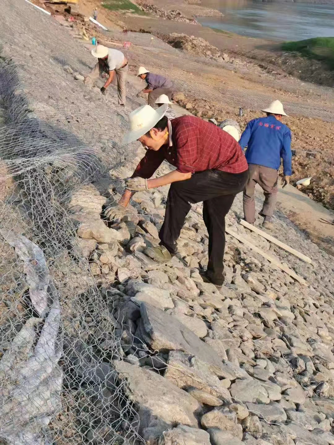 雷諾護(hù)墊圖片/雷諾護(hù)墊樣板圖 (2)