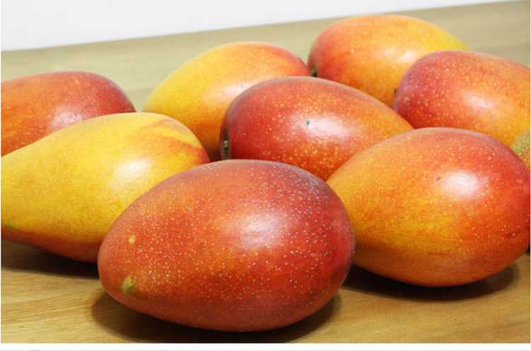 芒果圖片/芒果樣板圖 (3)