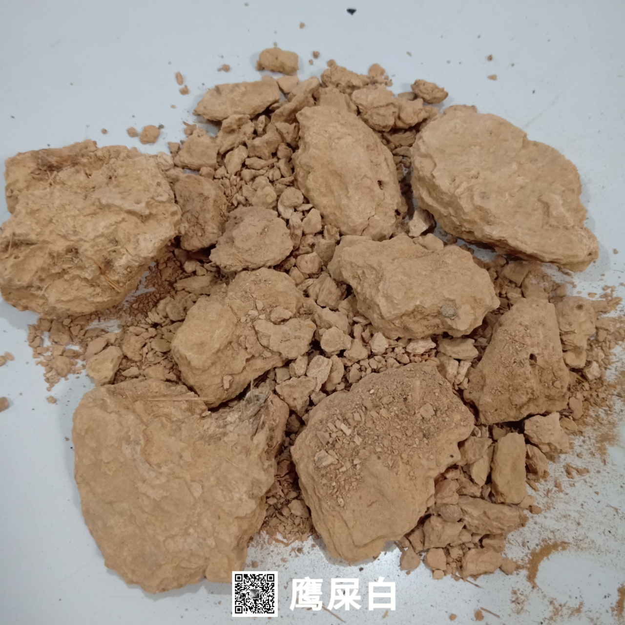 鹰屎白-价格-多少钱一公斤【亳州市奇弘堂药业有限公司】