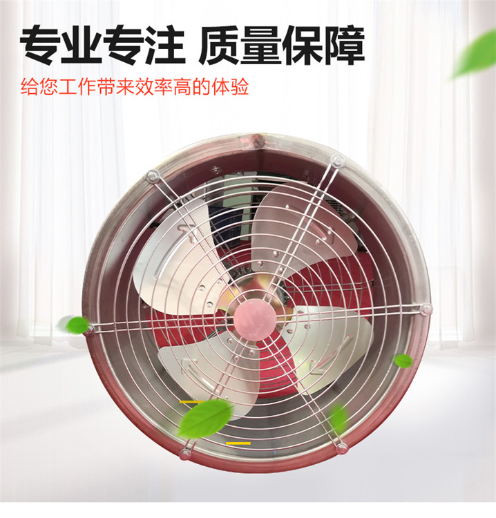 環(huán)流風機圖片