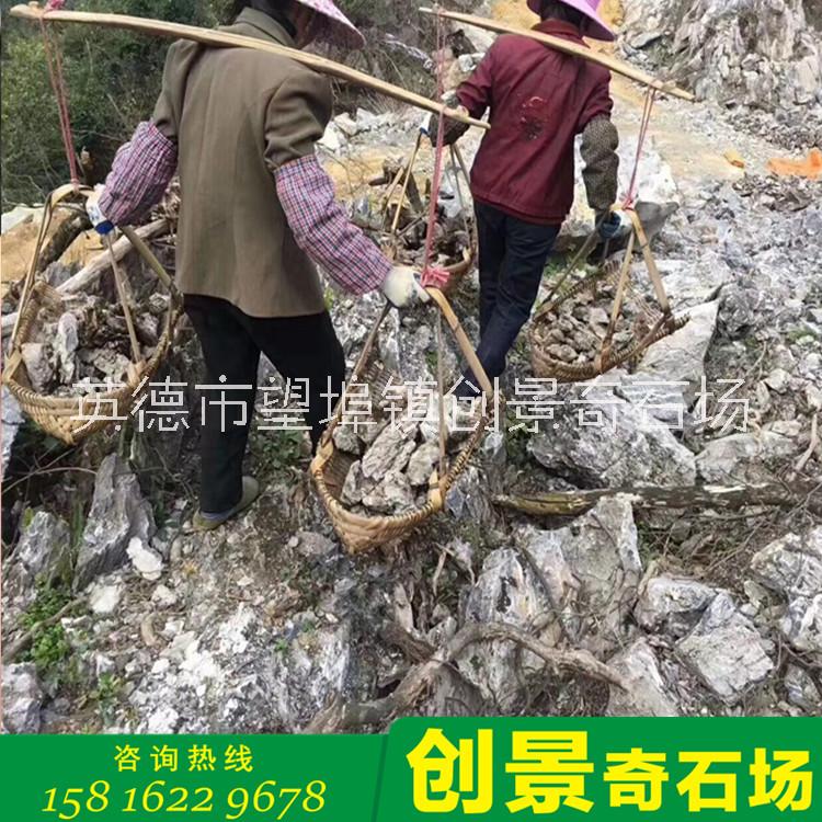 广东青龙石产地批发 盆景青龙石造景 鱼缸点缀青龙石 小型假山英石出售