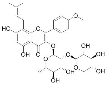 箭藿苷B图片