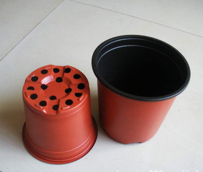 河北邢臺雙色盆供應(yīng)商圖片