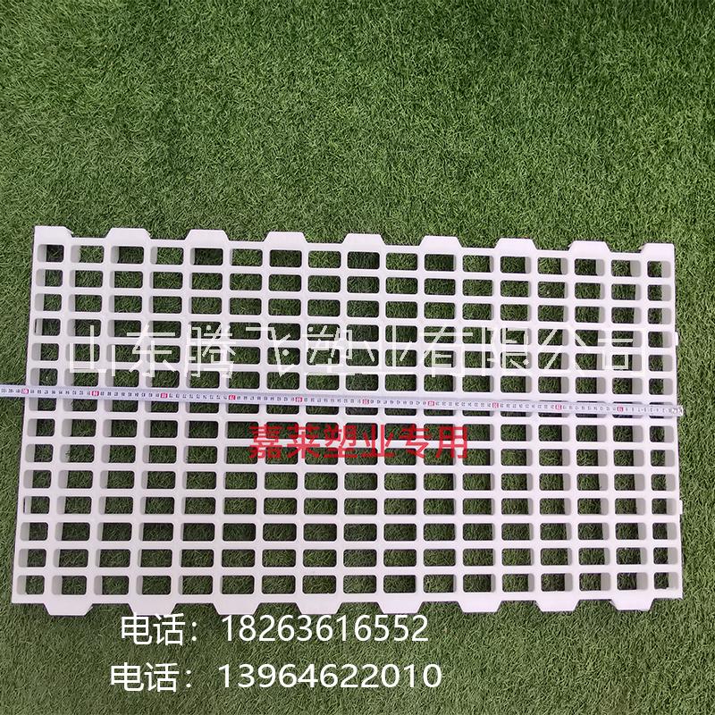 漏糞地板圖片/漏糞地板樣板圖 (3)